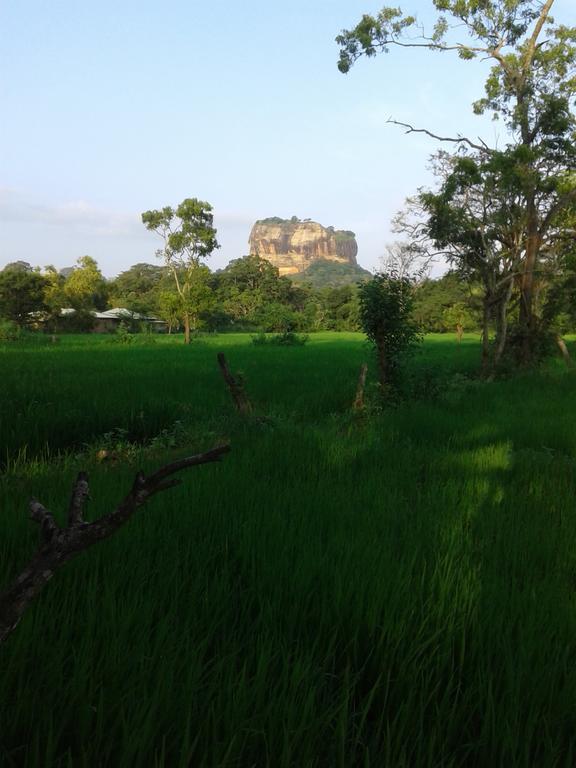Sigiri Leisure Holiday Home Sigiriya Eksteriør bilde