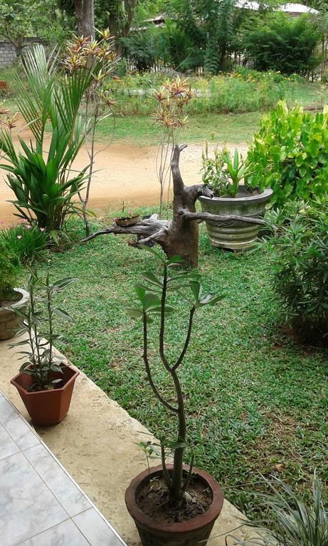 Sigiri Leisure Holiday Home Sigiriya Eksteriør bilde