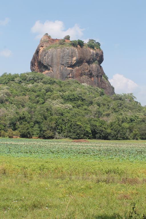 Sigiri Leisure Holiday Home Sigiriya Eksteriør bilde