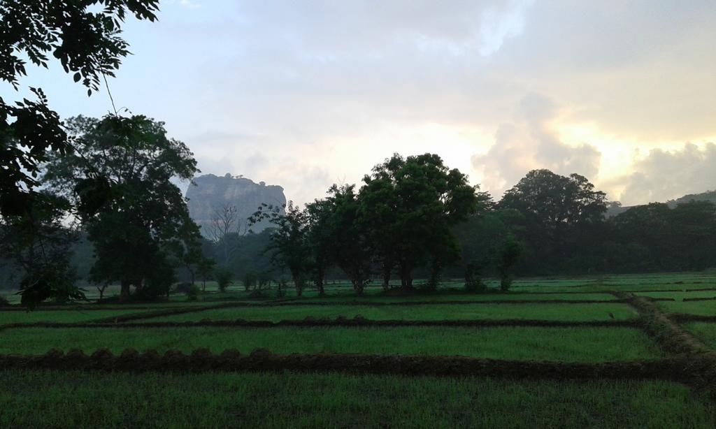 Sigiri Leisure Holiday Home Sigiriya Eksteriør bilde